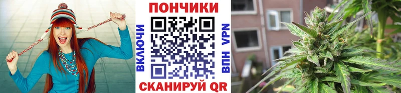 гидра   Грязовец  Бошки марихуана OG Kush 